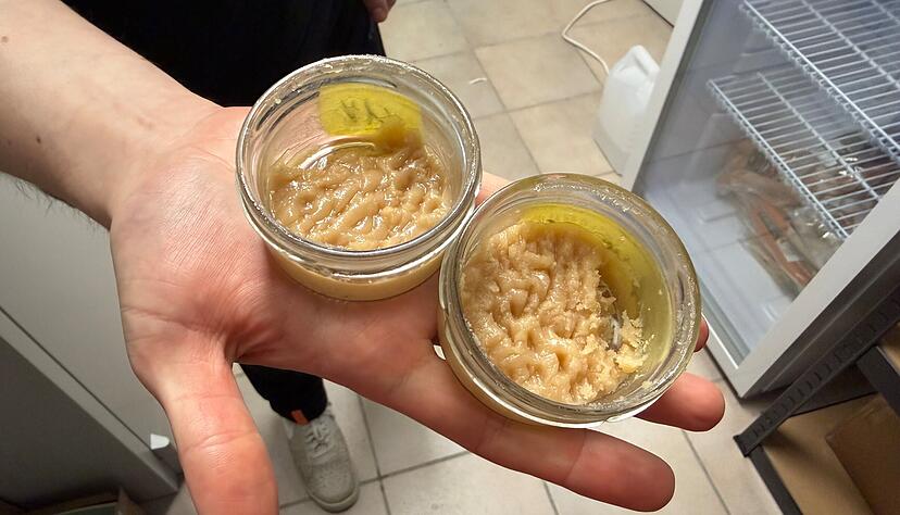 Das geschmacksintensive Hash Rosin hat einen THC-Gehalt von etwa 80 Prozent.