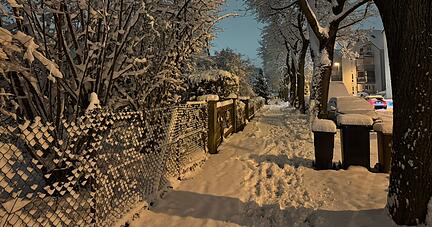 In manchen Heilbronner Gärten liegen über 15 Zentimeter Schnee. In manchen Heilbronner Gärten liegen über 15 Zentimeter Schnee.