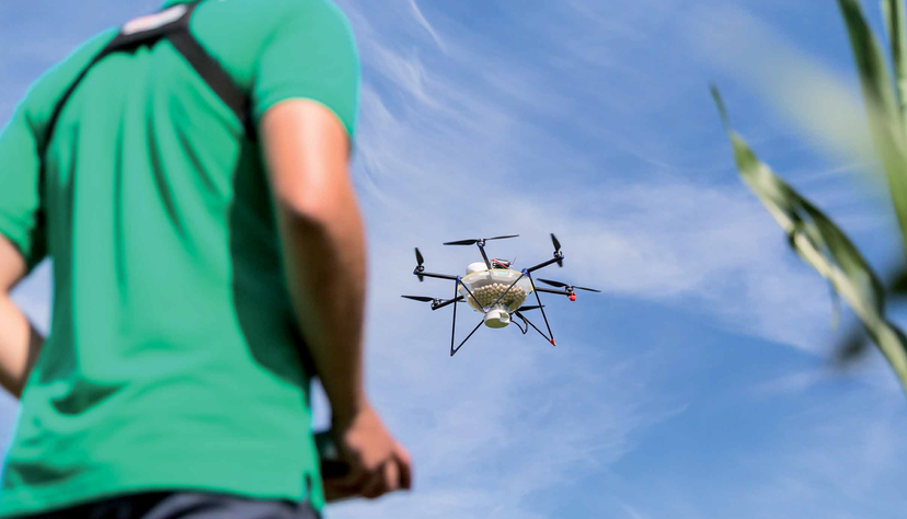 Eine Drohne bringt Kapseln mit N&uuml;tzlingen &uuml;ber einem Feld aus. So wird der Maisz&uuml;nsler bek&auml;mpft.