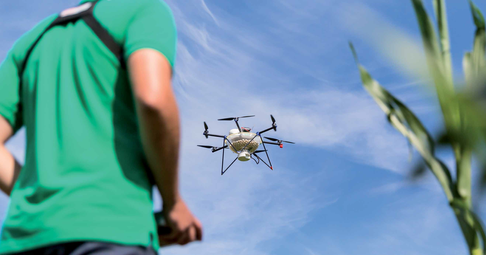 Eine Drohne bringt Kapseln mit N&uuml;tzlingen &uuml;ber einem Feld aus. So wird der Maisz&uuml;nsler bek&auml;mpft.