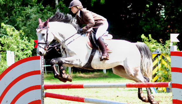 Guten Pferdesport boten Reiter und Pferde beim Reit- und Springturnier des Reitervereins Bad Friedrichshall am Wochenende auf der Anlage M&uuml;hlw&ouml;rth. Foto: Landauer