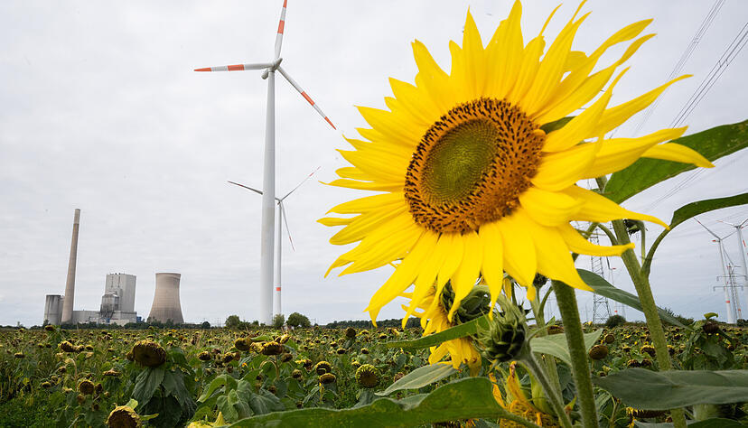 Klimaschutz und Kohleausstieg sind zentrale Themen im Wahlkampf zur Bundestagswahl 2021. Foto: dpa