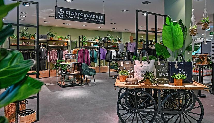 Platz für neue Ideen im Hanauer "Gewächshaus".
.
Foto: Stadt Hanau/Moritz Göbel Platz für neue Ideen im Hanauer "Gewächshaus".
.
Foto: Stadt Hanau/Moritz Göbel