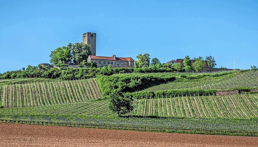 Die Burg Ravensburg bei Sulzfeld: In der H&uuml;gellandschaft des nordwestlichen Kraichgaus w&auml;hlten die Menschen mitunter deutlich anders als im Landesschnitt.
Marcel Hechler/stock.adobe.com