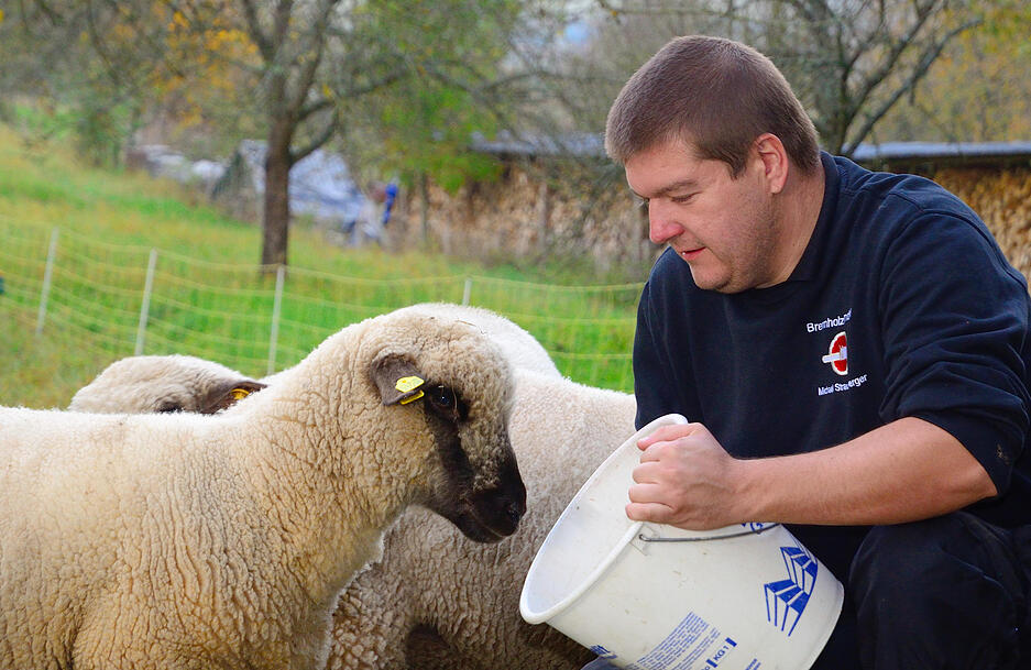 Michael Straußberger und seine Schafe in Unterkessach.