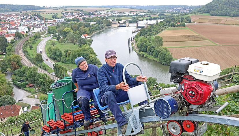 Ganz schön steil: Jochen Springer und Jasmin Mannherz vom Staatsweingut Weinsberg bei der Traubenlese mit Monorackbahn im Gundelsheimer Himmelreich. Weil die Ernte vielerorts so aufwändig ist, vor allem aber wegen aktuell gestiegener Betriebskosten, wird Wein teurer. Ganz schön steil: Jochen Springer und Jasmin Mannherz vom Staatsweingut Weinsberg bei der Traubenlese mit Monorackbahn im Gundelsheimer Himmelreich. Weil die Ernte vielerorts so aufwändig ist, vor allem aber wegen aktuell gestiegener Betriebskosten, wird Wein teurer.