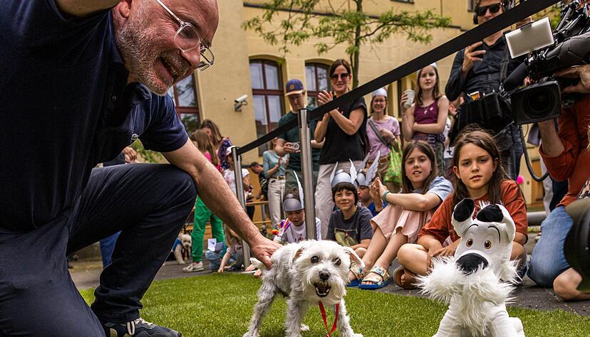 60 Jahre Idefix: Das Museum für Kommunikation suchte den besten Doppelgänger des Comic-Hundes. 60 Jahre Idefix: Das Museum für Kommunikation suchte den besten Doppelgänger des Comic-Hundes.