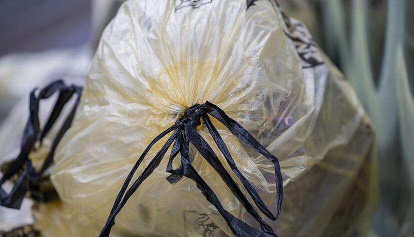 Was darf alles in den Gelben Sack und was nicht? (Archivbild) Was darf alles in den Gelben Sack und was nicht? (Archivbild)