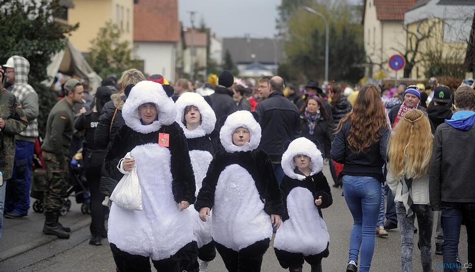 Faschingsumzug Gundelsheim | 9.2.