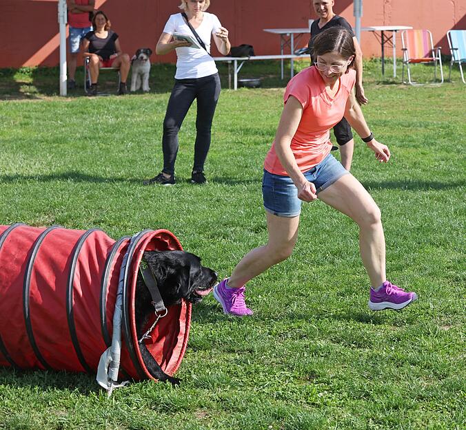 Agility Hunde-Training Lesersommer Agility Hunde-Training Lesersommer