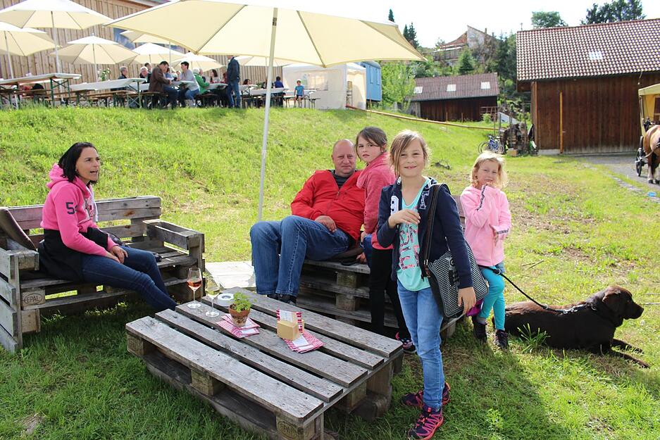 Wein über Berg und Tal in Löwenstein