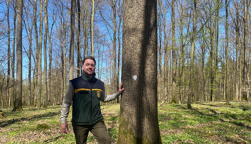 Seit M&auml;rz ist Benedikt N&uuml;ter als Nachfolger von Eckhard Staudt f&uuml;r das Forstrevier der Gemeinden Neuenstadt und Langenbrettach zust&auml;ndig.