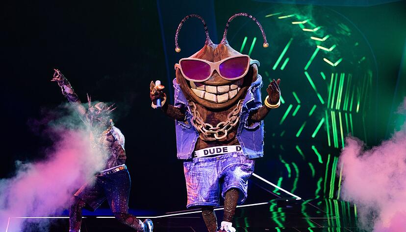 Die Stinkwanze «Dude» ist bei der ProSieben-Show «The Masked Singer» raus. (Archivbild)