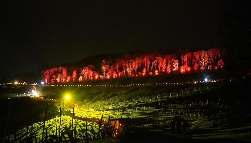 Leuchtobjekte und kilometerlange Lichterketten bringen den Weinberg bei Adolzfurt am Donnerstagabend zum Leuchten.