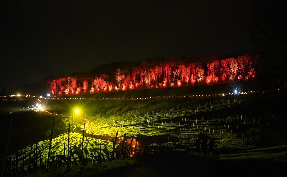 Leuchtobjekte und kilometerlange Lichterketten bringen den Weinberg bei Adolzfurt am Donnerstagabend zum Leuchten.