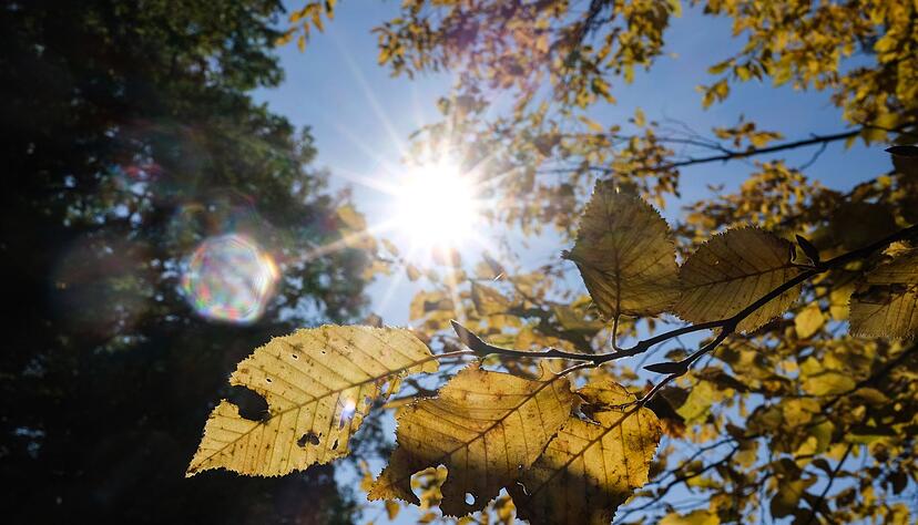 Das Wetter an Halloween wird alles andere als gruselig. (Archivbild) Das Wetter an Halloween wird alles andere als gruselig. (Archivbild)