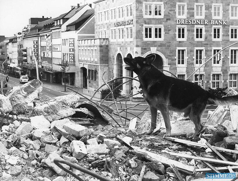 Oktober 1990: Einen realistischen Übungsplatz finden acht Hundeführer der Rettungsstaffel Unterland auf dem ehemaligen ZEAG-Gelände in Heilbronn, Allee Ecke Moltkestraße. In den Trümmern des Gebäudes suchen sie mit ihren Hunden mit Erfolg nach hilflosen Menschen.