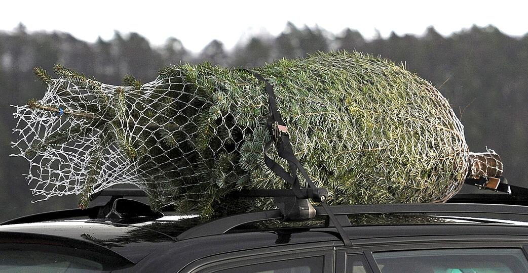 Auf der A81 hat jemand einen Christbaum verloren.