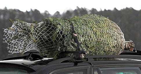 Auf der A81 hat jemand einen Christbaum verloren.