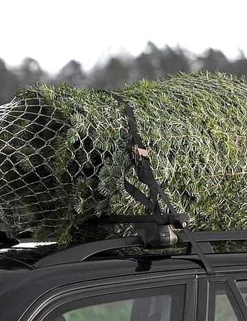 Auf der A81 hat jemand einen Christbaum verloren.