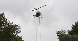 Ab 1980 testete die Kabs den Wirkstoff "Bacillus thuringiensis israelensis" (Bti) im Feld, ab 1983 wurde er zum Standard. (Archivbild)