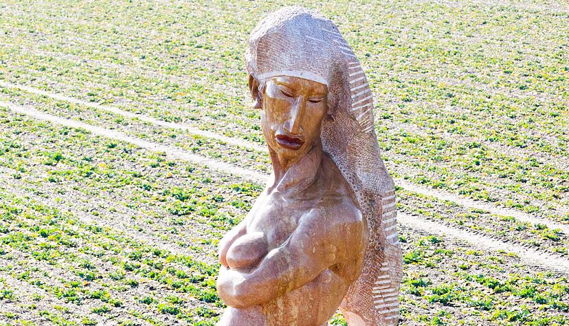 Die B&ouml;den im Landkreis Hildesheim gelten als besonders fruchtbar.