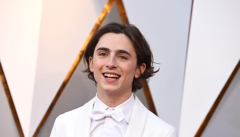 Timothée Chalamet, damals 22, bei den Oscars 2018 auf dem roten Teppich des Dolby Theatre in Hollywood. (Archivbild) Timothée Chalamet, damals 22, bei den Oscars 2018 auf dem roten Teppich des Dolby Theatre in Hollywood. (Archivbild)