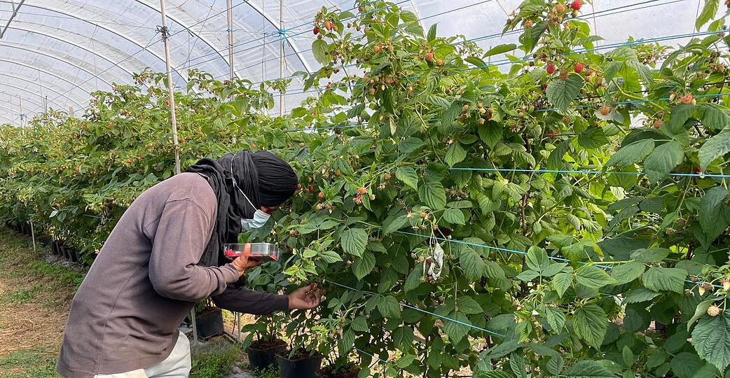Die befreiten Migranten wurden laut Polizei oft geschlagen.