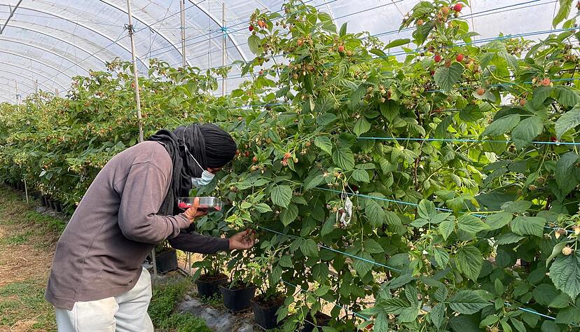 Die befreiten Migranten wurden laut Polizei oft geschlagen.