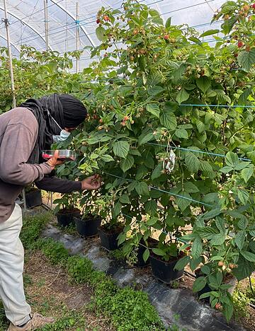 Die befreiten Migranten wurden laut Polizei oft geschlagen.
