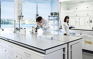 Arbeitspl&auml;tze vergleichbar mit diesem wird der Life Science Incubator ab September bieten. Dort k&ouml;nnen sich dann Unternehmen aus Deutschland oder Singapur einmieten.
Fotos: privat