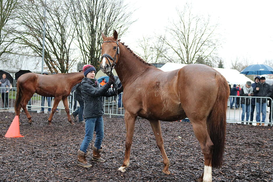 Foto: Bettina Hachenbergg