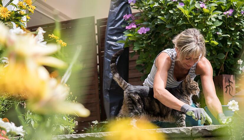 Kampf gegen Gr&uuml;nbelag und Wildwuchs: Mit effektiven Hausumitteln kann die Reinigung von Terrassen und Gartenwegen leicht gelingen.