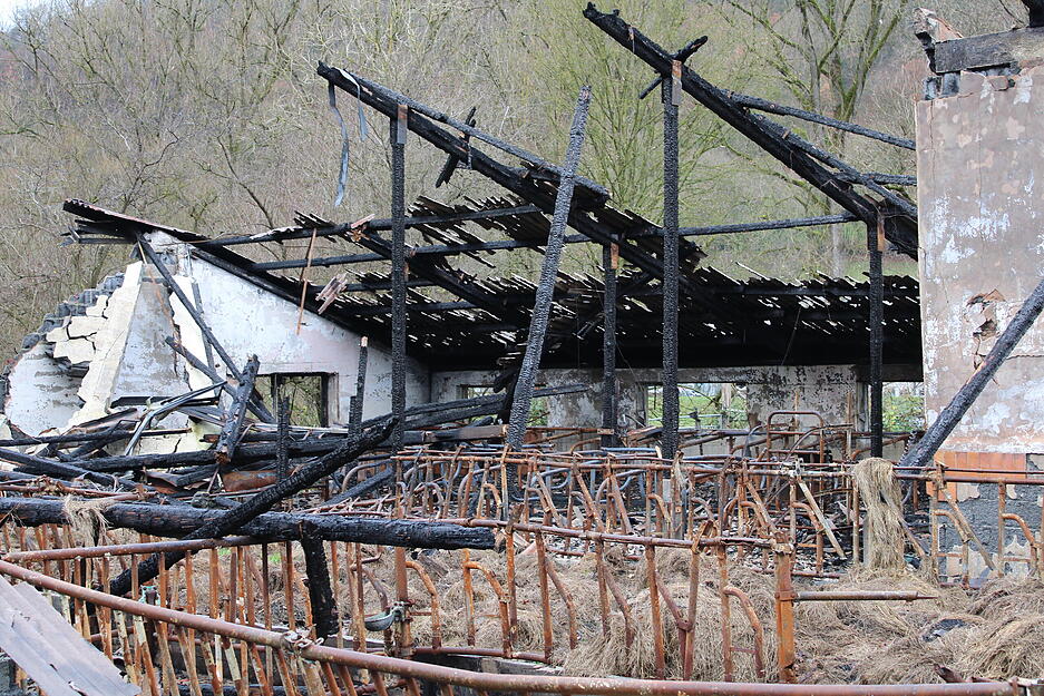 Alle Tiere, die sich in der Scheune am Tag des Brandes auf einem Hof in Ernsbach befanden, sind tot.