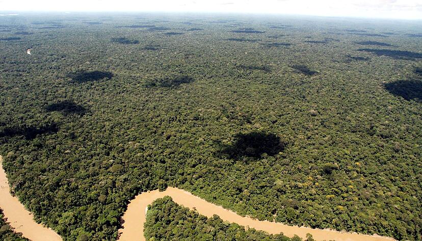 Der Regenwald in Ecuador ist schon lange bedroht. Doch es gibt Hoffnung. Der Regenwald in Ecuador ist schon lange bedroht. Doch es gibt Hoffnung.