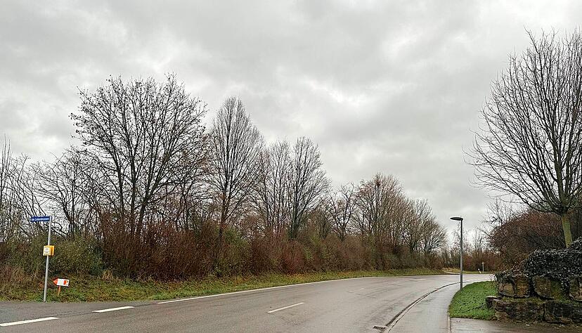 Blick auf die Freiflächen an der Neuenstadter Straße in Oedheim. Hier soll das Einkaufs- und Dienstleistungszentrum einmal entstehen.
Fotos: Julian Ruf