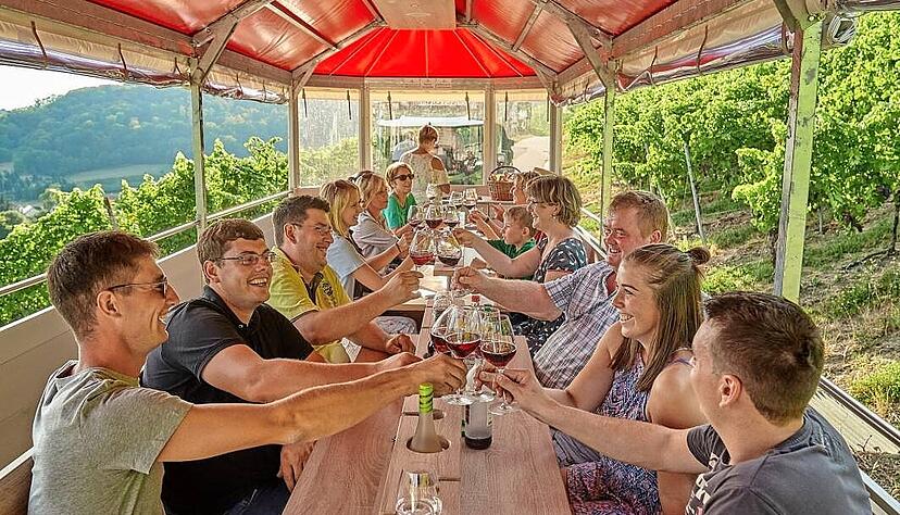 Im Planwagen geht es durch die Weinberge.