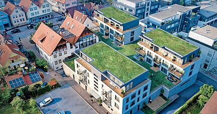 So soll es einmal aussehen: Die Wohnungen sind gr&uuml;n bedacht, im umgebauten Doppelhaus mit Satteldach werden Lebensmittelmarkt, Metzgerei, &Auml;rztehaus und Postfiliale untergebracht. 
Visualisierung: Kelnik UG, A. Utkin