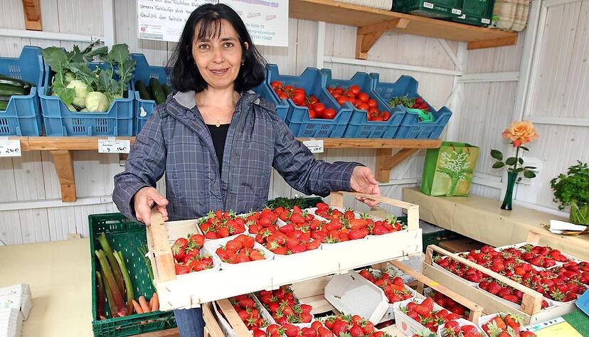 An der Zufahrtsstra&szlig;e zu den B&ouml;llinger H&ouml;fen steht einer der vielen St&auml;nde von Fritz Wormser aus Untergruppenbach.Fotos: Andreas Veigel