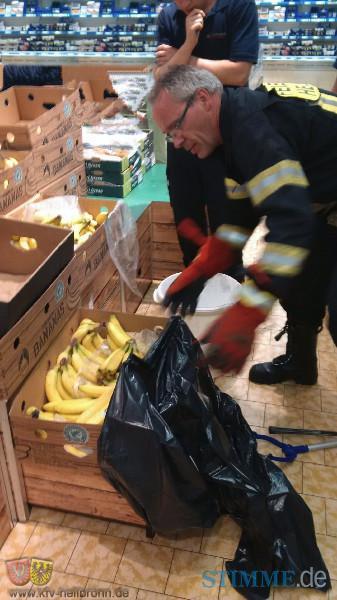 Feuerwehr fängt Giftspinne ein | 26.07.