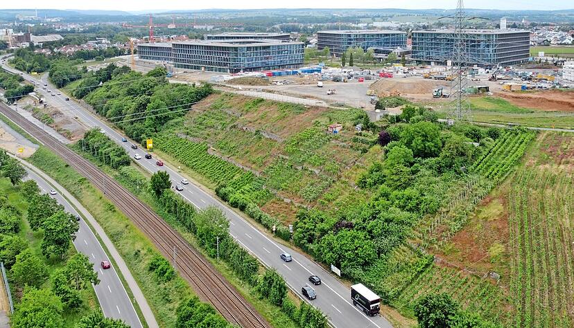 Weniger Weintrinker, weniger Weinberge: Vor allem arbeitsintensive Steillagen werden aufgegeben, etwa hier an der B27 bei Bad Friedrichshall, wo derzeit das das Schwarz-IT-Zentrum gebaut wird.
Foto: Ralf Seidel