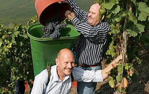 Politische Weinlese 2005 mit Nachbarschultes Dieter B&ouml;hringer. Foto: Archiv/Veigel