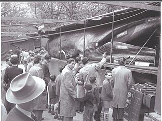 Im Jahr 1955 reiste Jonas der Wal in die Schweiz. Das Foto ist in Basel aufgenommen worden.