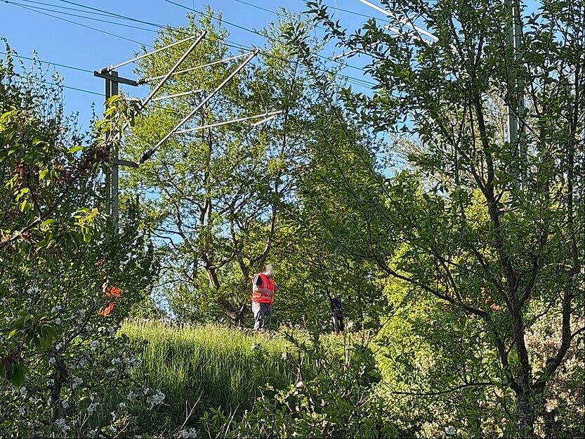 Bahn-Experten sind am Mittwochabend in Bretzfeld im Einsatz.