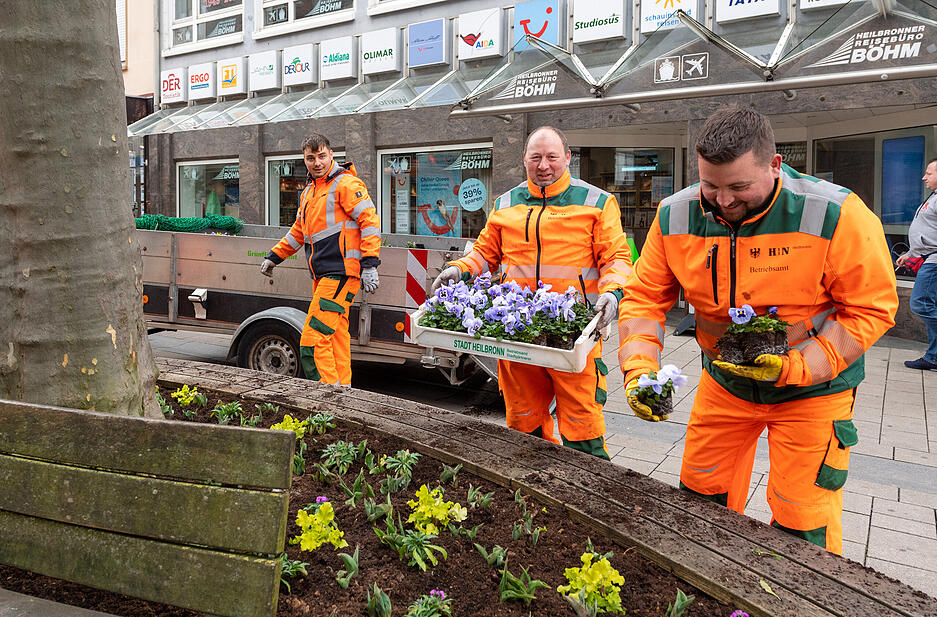 Erste Frühjahrsblüher in Heilbronn Erste Frühjahrsblüher in Heilbronn
