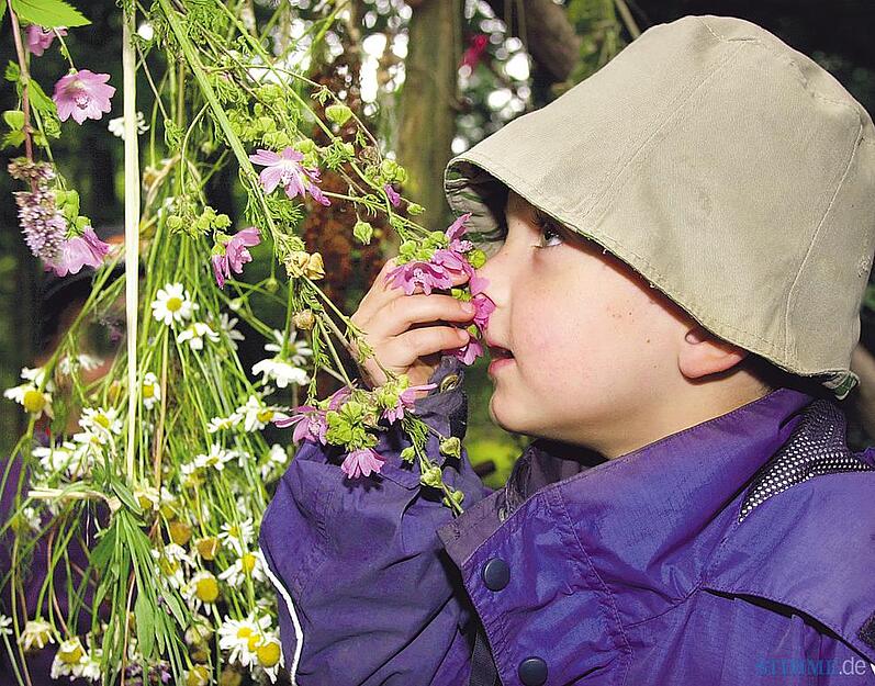 Im Waldkindergarten erschnuppern die Kleinsten 2002 Aromen und Düfte  heimischer Wildblumen.