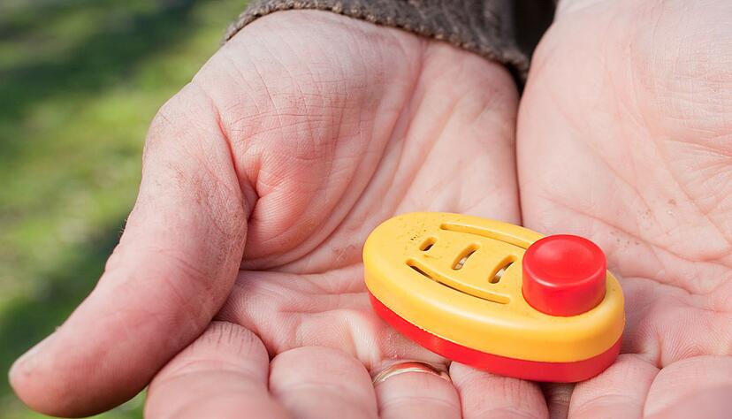 Training mit System: Beim Clickertraining wird erw&uuml;nschtes Verhalten der Katze gezielt belohnt, ganz ohne Strafen.