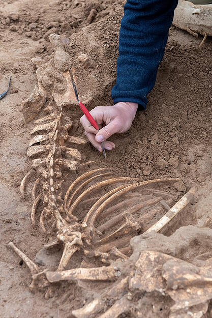 Ausgrabungen auf Campus-Baustelle Ausgrabungen auf Campus-Baustelle