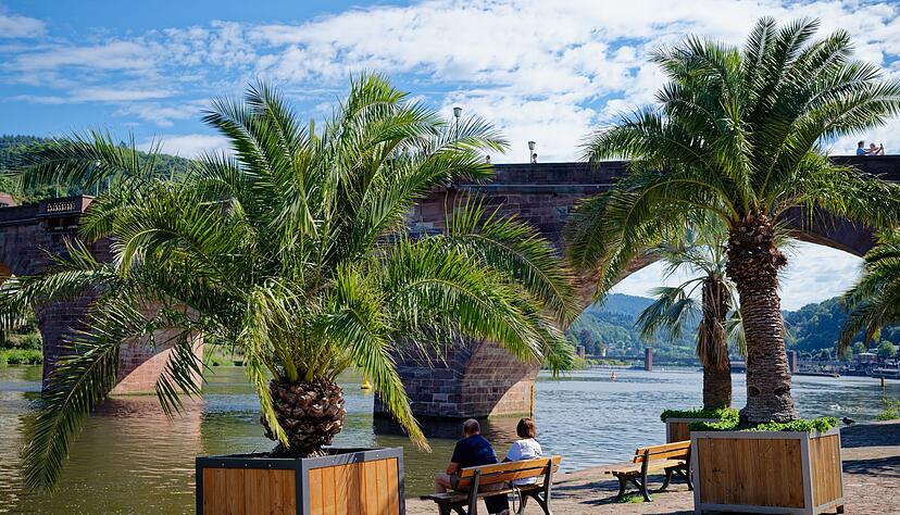 Wetter in Baden-W&uuml;rttemberg: &laquo;Sonne satt.&raquo; (Archivbild)