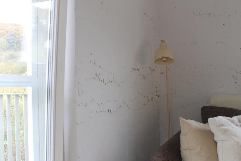 Auf den Etagen sind Demuths B&uuml;ro, Wohnung, Dachterrasse sowie zwei vermietete Zwei-Zimmer-Wohnungen untergebracht.